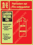 Photoluminescent Fire Extinguisher Missing signs F033L